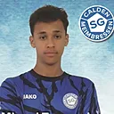 Miguel Temesghen